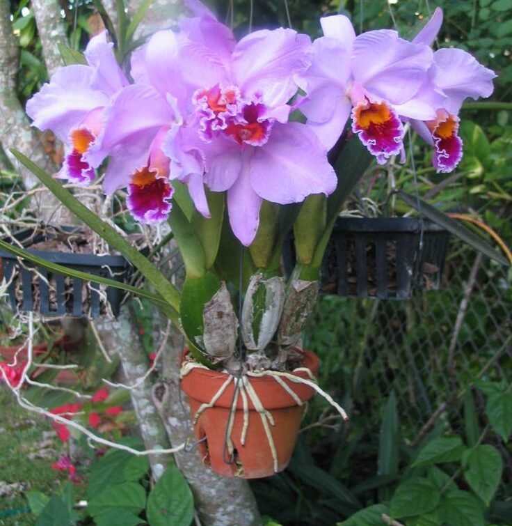 Miami Every Day Photo